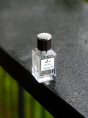 Yves V2